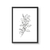 Cuadro Line Art Botanicals VII
