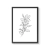 Cuadro Line Art Botanicals VII