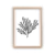 Cuadro Neutral Botanicals III en internet
