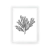 Cuadro Neutral Botanicals III - comprar online