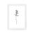 Cuadro Line Art Botanicals XI en internet