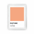Cuadro Pantone Coral Sands - comprar online