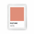 Cuadro Pantone Muted Clay - comprar online