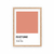 Cuadro Pantone Muted Clay en internet