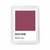 Cuadro Pantone Hawthorn Rose - comprar online