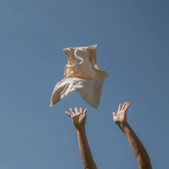 Polera Musculosa Crudo - tienda online