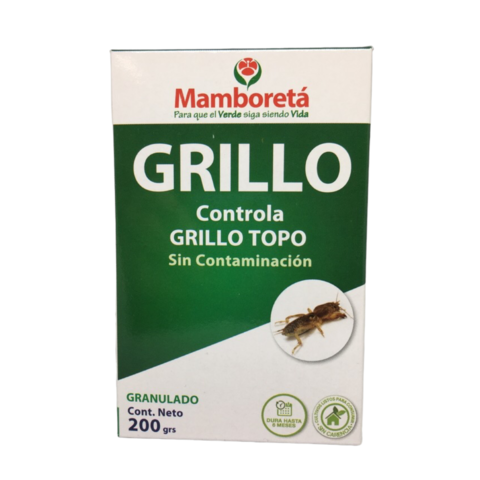 Mamboreta Grillo