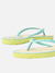 Chinelo de Dedo Capri Jelly Bico Redondo Brizza Arezzo - Azul - Hall Sports 
