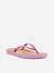 Chinelo de Dedo Brizza Palmilha Marrom - Roxo - comprar online