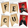 Banderín Gráfico Feliz Cumple Harry Potter - comprar online