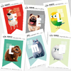 Banderín Gráfico Feliz Cumple Pets