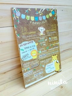 Cartel Infografía Selva Baby