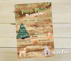 Cartel Infografía Bosque Pino