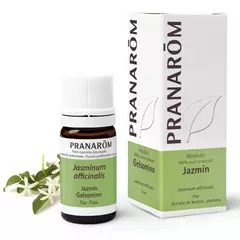 Absoluto de Jazmin - comprar online