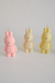 Panarabbit (Osito conejo) - TTINA BECKER