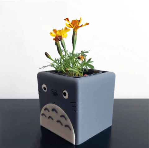Maceta Totoro