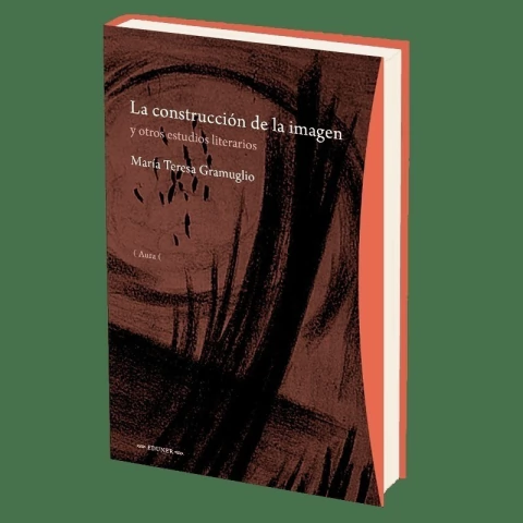 LA CONSTRUCCIÓN DE LA IMAGEN