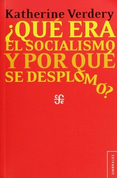 ¿Que era el socialismo y porque se desplomo?