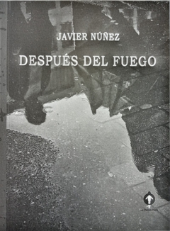 Despues del fuego