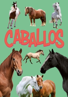 Caballos