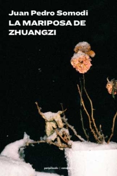 La Mariposa del Zhuangzi