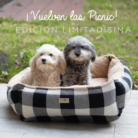 ⭐️ Edición Limitada ⭐️ Camita Terra Picnic ⭐️ - comprar online