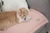 PILLOW TERRA