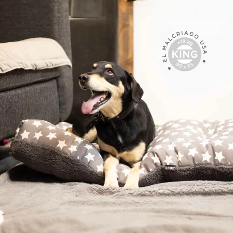 Colchón Corderito Estrella Topo