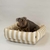 Camita de Gabardina Estrella beige