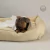 Camita XL 2 en 1 TERRA Natural - comprar online