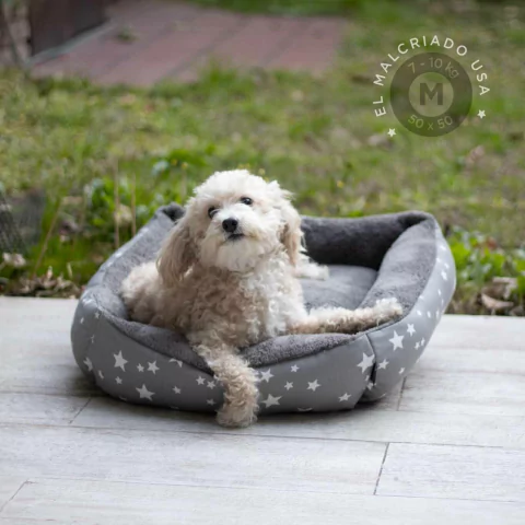 Camita con Corderito Estrella New - comprar online