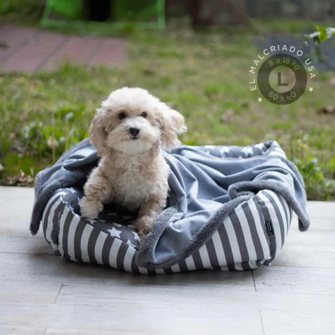 Camita de Gabardina Estrella Topo