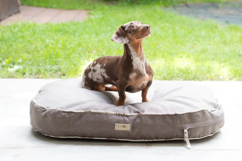 Colchoncito Antidesgarro QUEEN OVAL - Habano