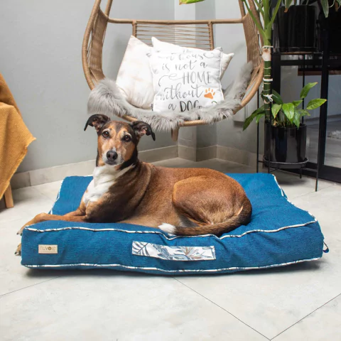 Colchoncito Antidesgarro KING - Mediterraneo