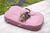 Colchoncito Antidesgarro QUEEN OVAL - Rose - comprar online