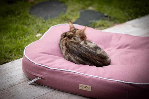 Colchoncito Antidesgarro QUEEN OVAL - Rose