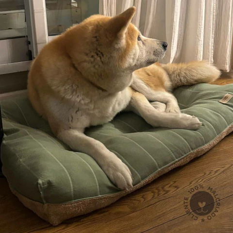 Colchoncito Terraza Corderito Pistacho - comprar online