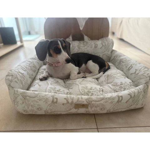 Silloncito Malcriado 2 en 1 Bosque Beige - comprar online