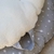 Puff Corderito Estrella New - Nuvole Mascotas
