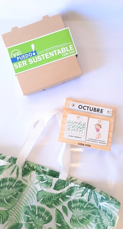 KIT yo PUEDO SER SUSTENTABLE! en internet