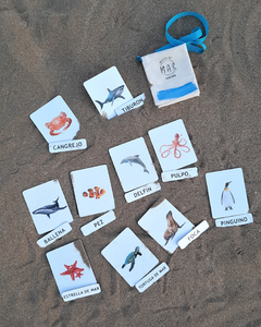 ANIMALES DEL MAR