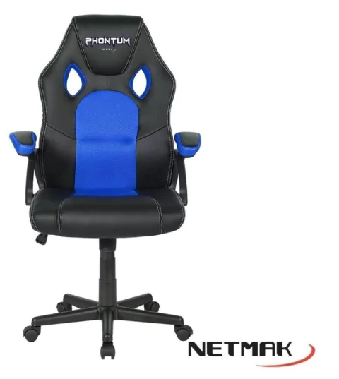 Silla Gamer Netmak