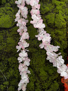 Imagen de GUIA SANTA RITA x 5 unidades 2MTS PA04B