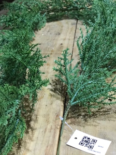 GUIA DE PINO SUIZO 160cm PA248 en internet