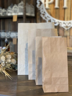 BOLSA DELIVERY AMERICANA X 10