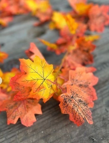 GUIA HOJAS SECAS 1,8MTS/36 HOJAS, 2 GUIAS POR BOLSA PA02-02