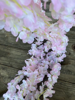 GUIA SANTA RITA x 5 unidades 2MTS PA04B - comprar online