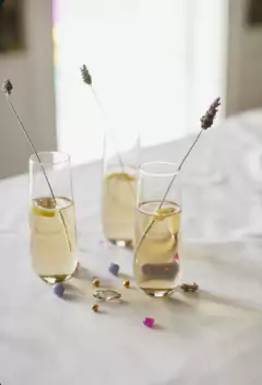 COPA DE CHAMPAGNE PLASTICA x 6u. PA256 - comprar online