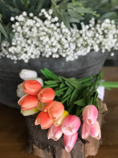 TULIPAN 33cm x 5u - comprar online