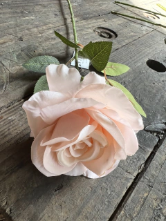 ROSAS 61CM x 10CM PA01